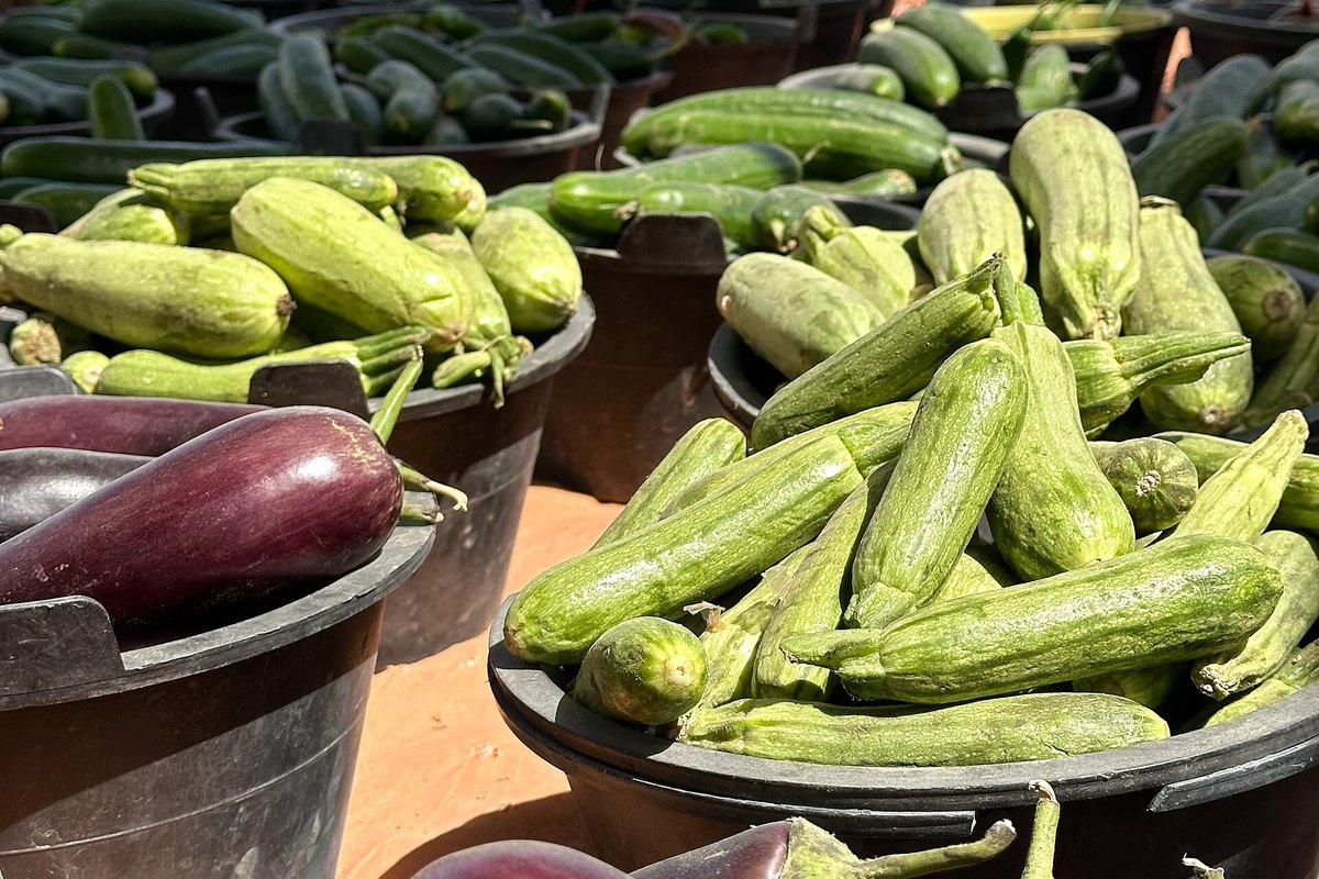 Riverwalk Fresh Market market day