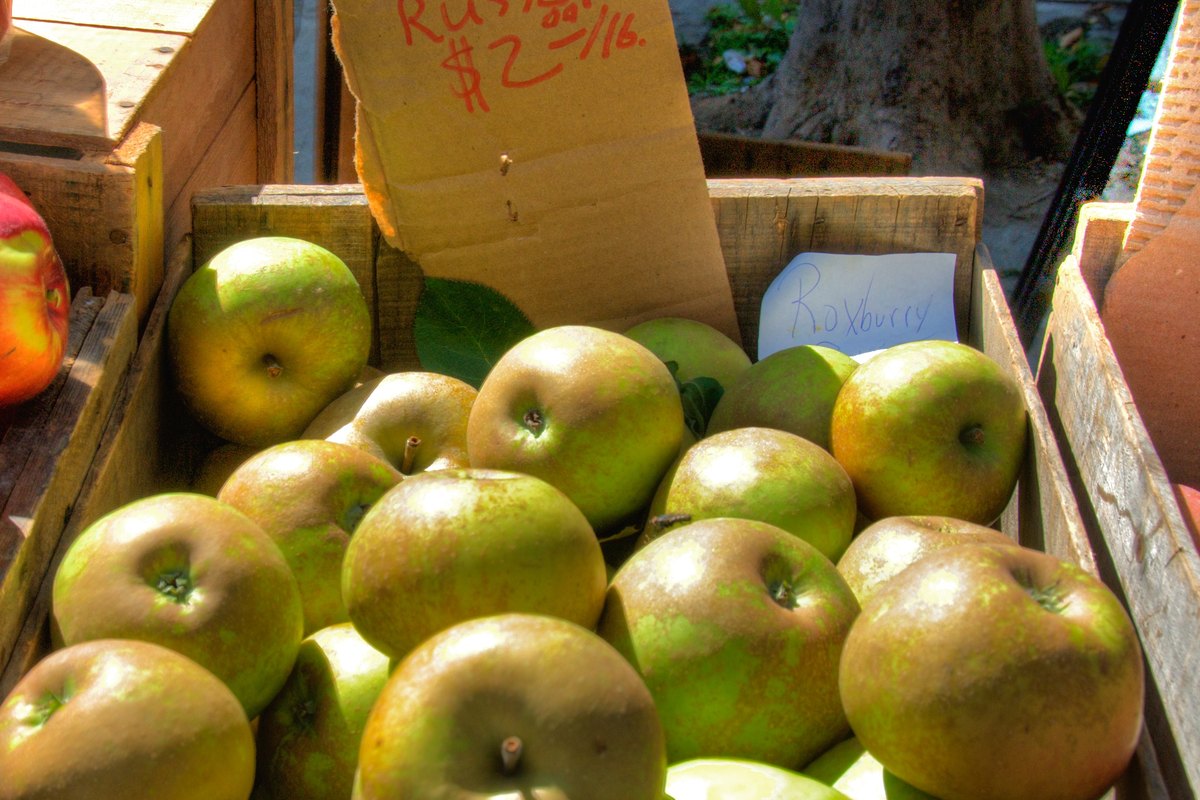 Silver Lake Farmers Market market day