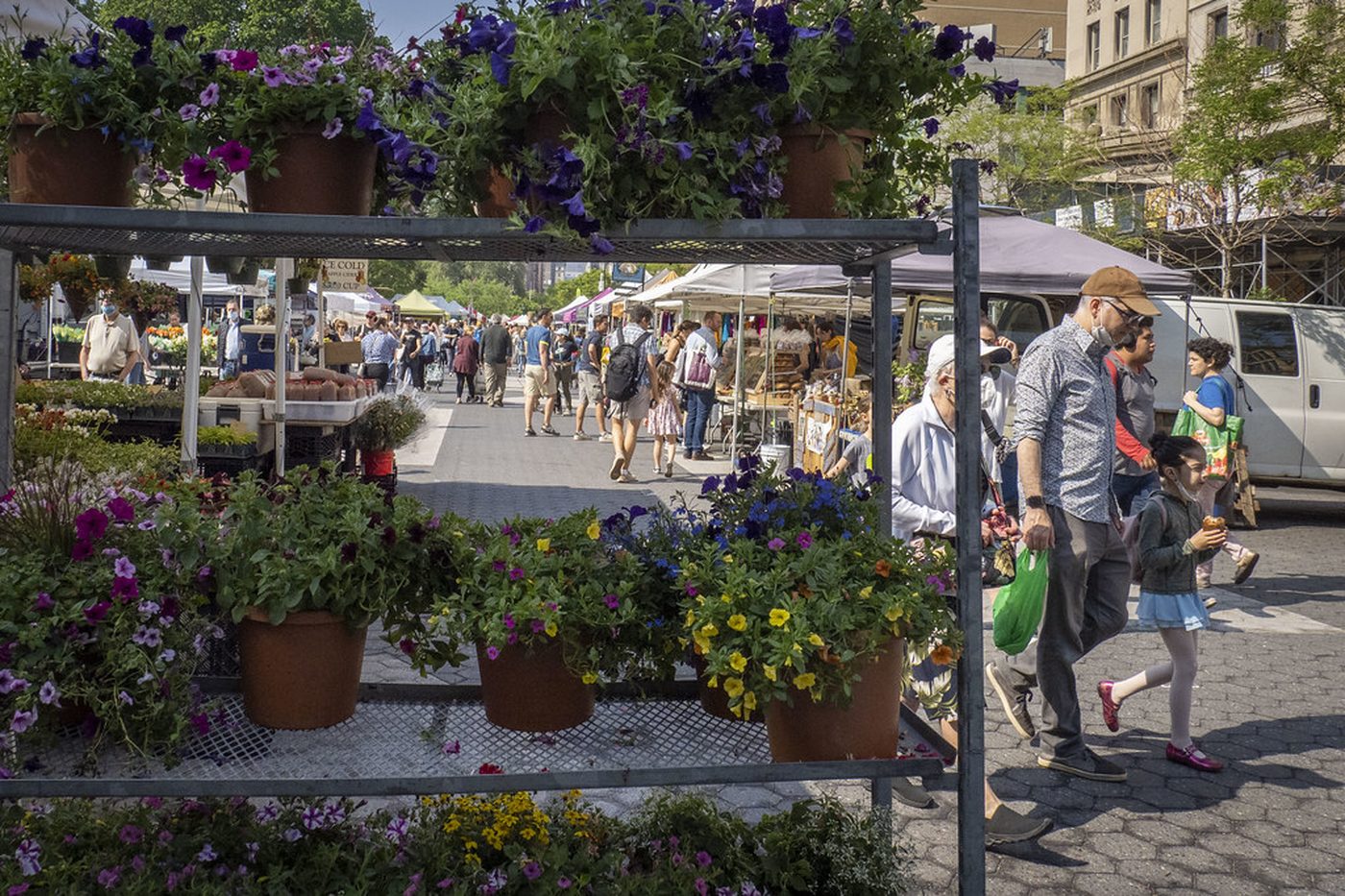 Union Square Greenmarket market day