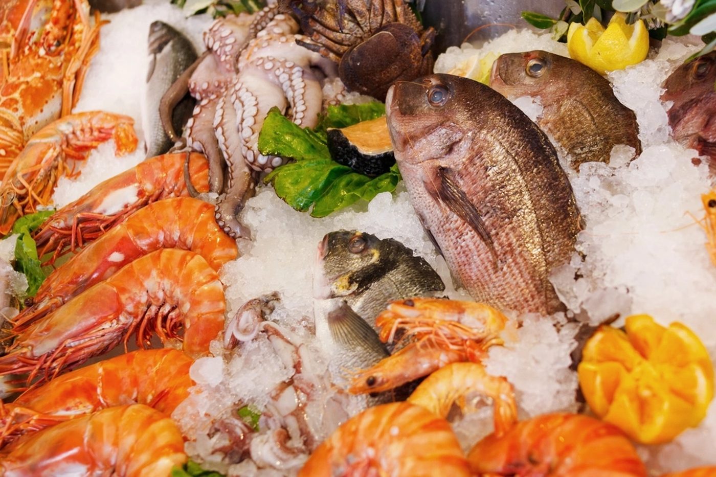 Santa Barbara Seafood — Seafood
